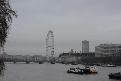 DSC_5932 (Large).JPG